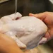 Lavando o frango - Reprodução/iStock