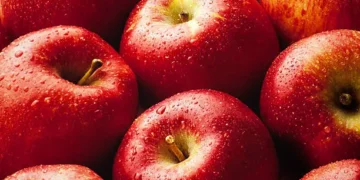 Maçã - Reprodução/iStock