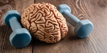 Memória - Reprodução/iStock