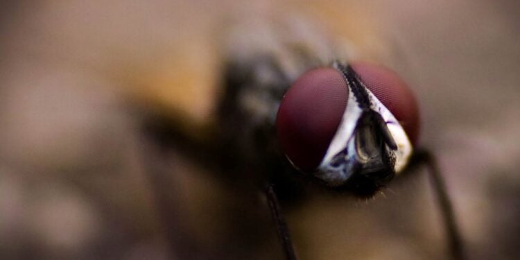 Foto: the name is karupu/Pexels