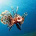Peixe-leão - Reprodução/iStock