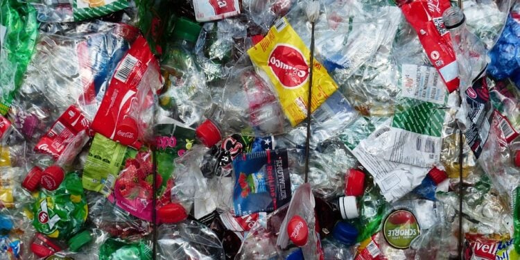Plásticos são encontrados em placentas e cordões umbilicais - Imagem: Pixabay