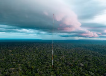Poeira foi identifica por torre de pesquisa na Amazônia — Foto: Divulgação