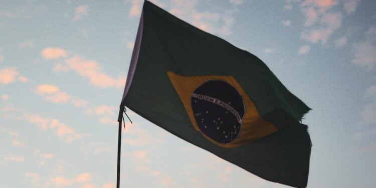 Foto: Vinícius Vieira ft/Pexels
