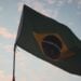 Foto: Vinícius Vieira ft/Pexels