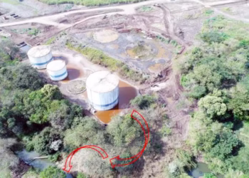 Usina suspeita de matar mais de 200 mil peixes em rio volta a funcionar - Imagem: Divulgação/Cetesb
