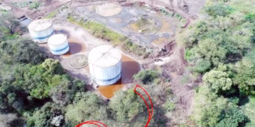 Usina suspeita de matar mais de 200 mil peixes em rio volta a funcionar - Imagem: Divulgação/Cetesb