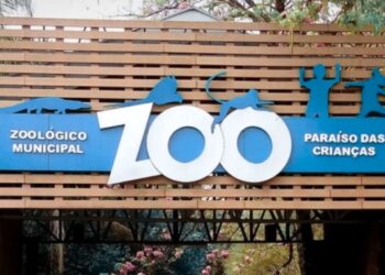 Zoológico está pedindo animais de estimação para alimentar selvagens