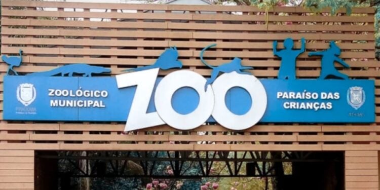 Zoológico está pedindo animais de estimação para alimentar selvagens
