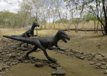 Vale dos Dinossauros - Reprodução