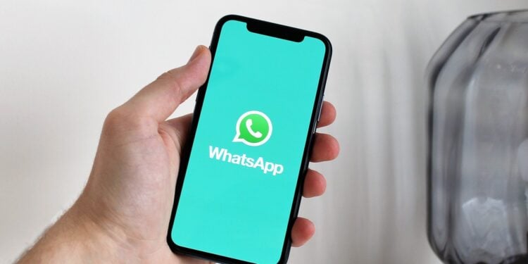 Como usar IA para transformar o WhatsApp em canal de vendas - Imagem: Pixabay