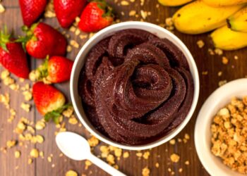 Perigo! Açaí está transmitindo doença de chagas? - Imagem: Pixabay