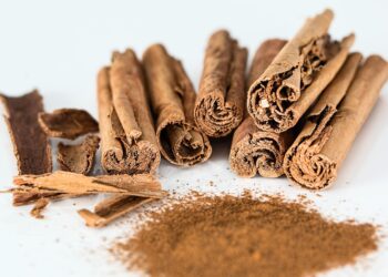 Nutricionista revela segredo sobre uso de Canela: “É um dos alimentos com mais…” - Imagem: Pixabay