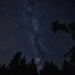 Chuva de meteoros irá iluminar o céu neste mês de agosto - Imagem: Pixabay