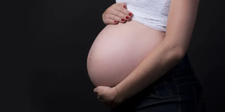 Mudanças do salário-maternidade em 2025 - Imagem: Pixabay