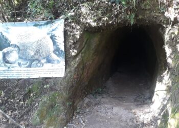 Tocas antigas guardam marcas de preguiças e tatus gigantes - Imagem: Divulgação/Secretaria de Turismo do município de Morro Grande