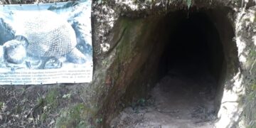 Tocas antigas guardam marcas de preguiças e tatus gigantes - Imagem: Divulgação/Secretaria de Turismo do município de Morro Grande