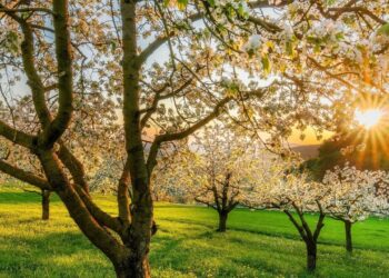Saiba qual melhor estilo para se vestir na primavera