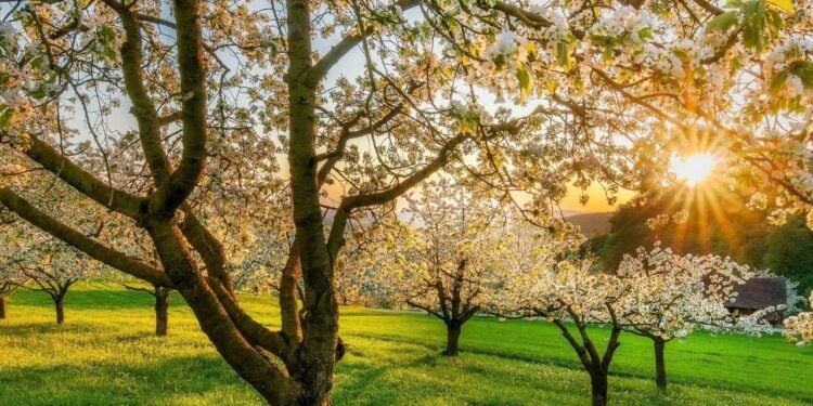 Saiba qual melhor estilo para se vestir na primavera