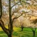 Saiba qual melhor estilo para se vestir na primavera