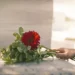 Cemitério - Reprodução/iStock