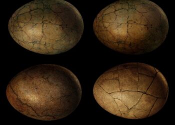 Cientistas cavam fundo e encontram ovos de dinossauros: 85 milhões de anos - Imagem: Pixabay