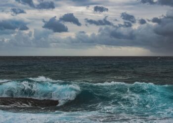 Monstro oceânico que vive desde a era napoleônica foi descoberta no oceano - Imagem: Pixabay