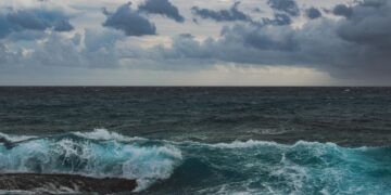 Monstro oceânico que vive desde a era napoleônica foi descoberta no oceano - Imagem: Pixabay