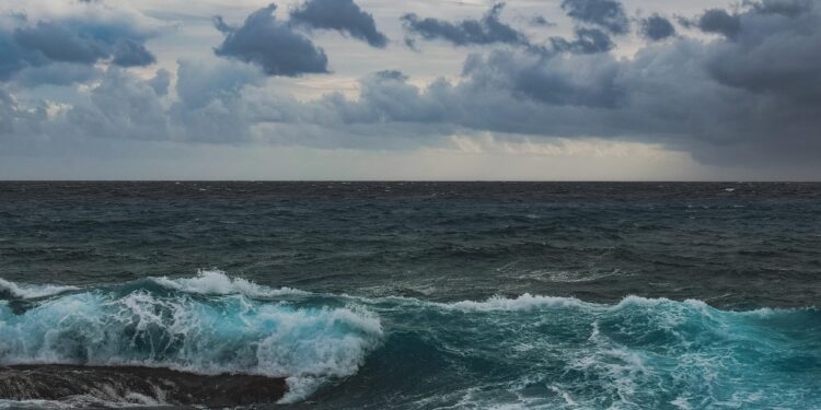 Monstro oceânico que vive desde a era napoleônica foi descoberta no oceano - Imagem: Pixabay