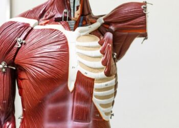 Cientistas descobrem doença genética rara que ataca músculos