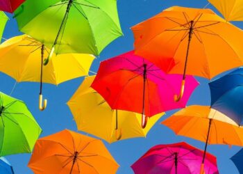 É o fim do guarda-chuva: substituto chegou para conquistar corações