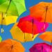 É o fim do guarda-chuva: substituto chegou para conquistar corações
