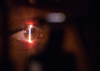 Cientistas brasileiros usam pele de peixe para tentar recuperar visão