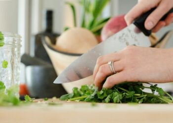 Alimentação em casa é o maior responsável por doenças transmitidas por comida