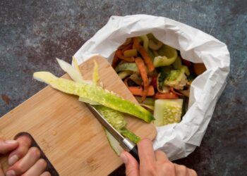 Alimentação em casa é o maior responsável por doenças transmitidas por comida
