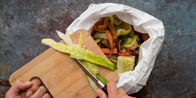 Alimentação em casa é o maior responsável por doenças transmitidas por comida