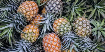 Abacaxi - Reprodução/iStock