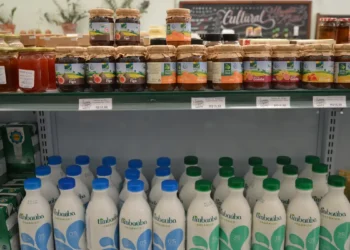 Data limite para consumir alimento vencido é divulgada por especialistas - Imagem: Rovena Rosa/Agência Brasil