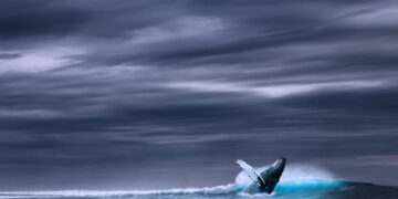 Cientistas estão perplexos com 1ª aparição de baleia-fantasma - Imagem: Pixabay