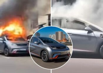 BYD - Reprodução
