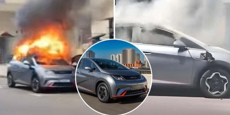 BYD - Reprodução
