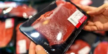 Carne