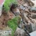 Cidade de Santa Catarina vai sumir do mapa? Avanço do mar liga alerta vermelho - Imagem: Divulgação/Redes Sociais