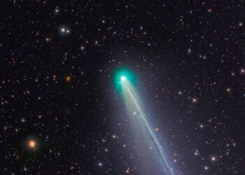 Cometa C 2025 A6 (Lemmon) - Reprodução