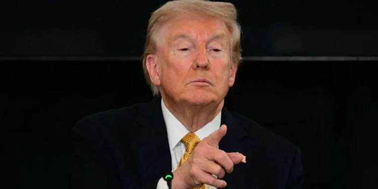 Donald Trump - Reprodução