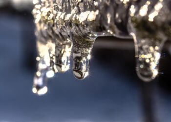 O que pode dar errado? Cientistas revivem seres presos no gelo há 40 mil anos - Imagem: Pixabay