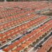 Governo libera R$ 30 mil para brasileiros reformarem imóvel - Imagem: Ricardo Stuckert/PR