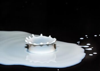 Qual a base científica para a informação do leite ser inflamatório? - Imagem: Pixabay