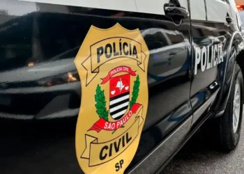 Mulher "serial killer" é acusada de matar 10 cães e 4 pessoas envenenados - Imagem: PCSP/Divulgação