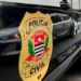 Mulher "serial killer" é acusada de matar 10 cães e 4 pessoas envenenados - Imagem: PCSP/Divulgação